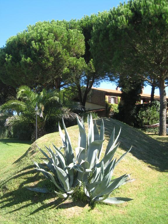 Apartmán Casa Terra Rossa Fauglia Exteriér fotografie